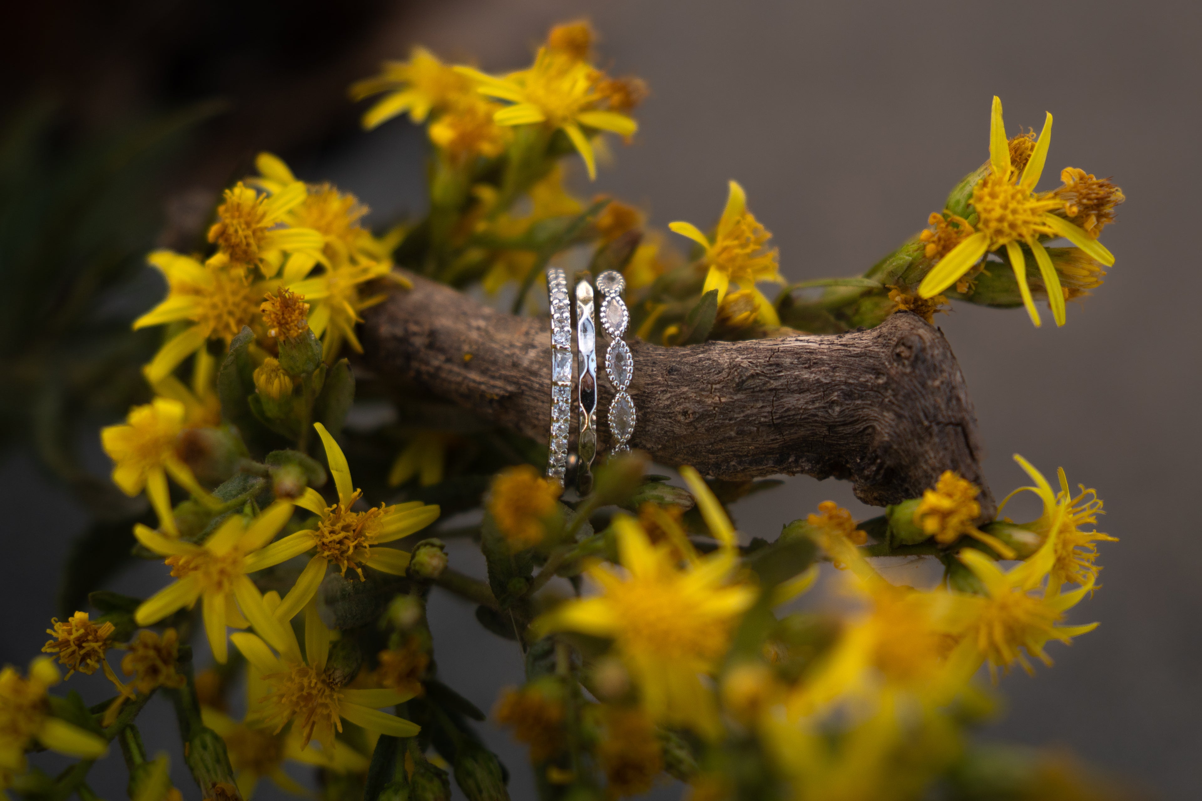Aurelia - Anillo Atrevido